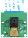Raspberry Pi Camera Module